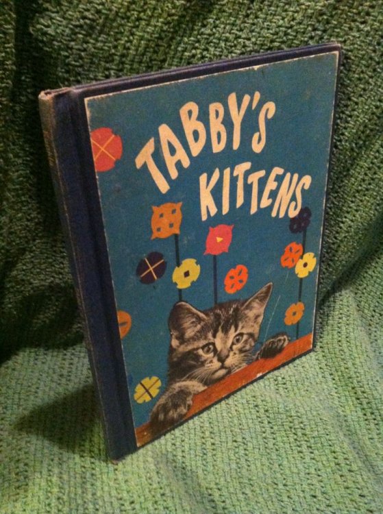 Tabby's kittens