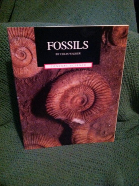 Fossils (Concept Science)