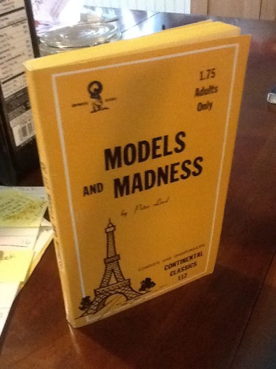 MODELS AND MADNESS