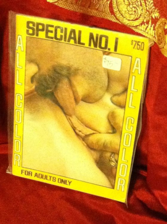 Special No. 1 All Color For Adults Only by n/a