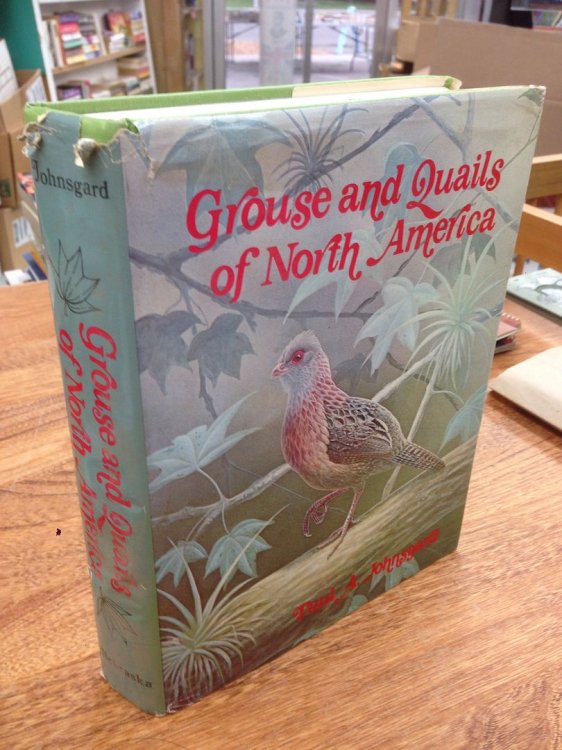 Grouse and Quails of North America