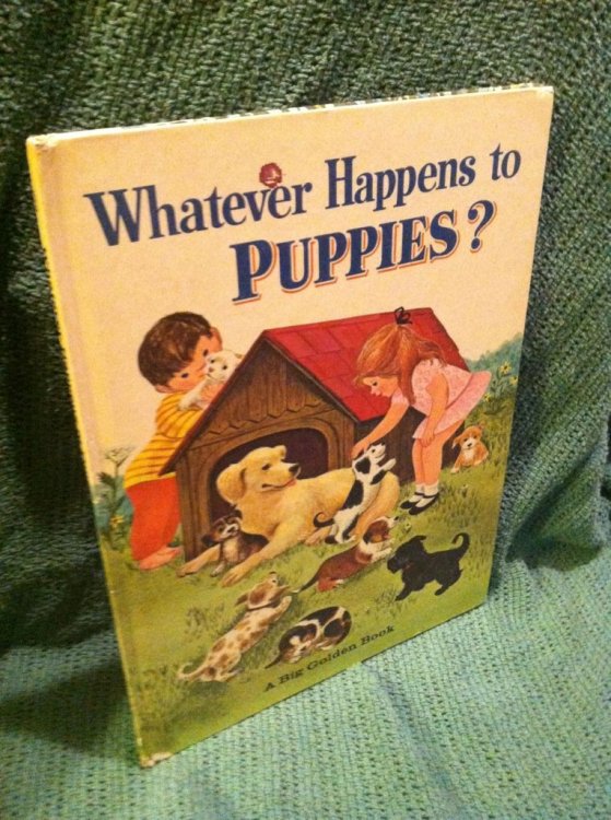 Whatever happens to puppies