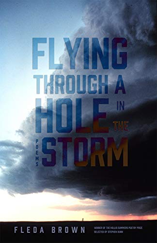 Flying through a Hole in the Storm: Poems (Hollis Summers Poetry Prize)