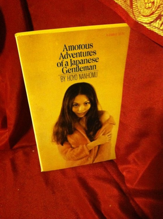 Amorous Adventures of a Japanese Gentleman by Nanhomu, Hoyo