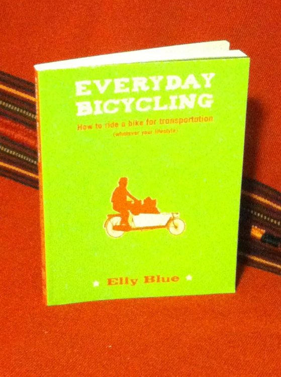 Everyday Bicycling: How to Ride a Bike for Transportation (Whatever Your Lifestyle) (Bicycle)