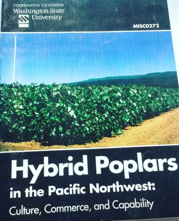 Hybrid Poplars in the Pacific Northwest: Culture, Commerce, and Capability MISCO272 Symposium Proceedings April 7 - 9, 1999 - Double Tree Hotel Pasco, Washington, USA