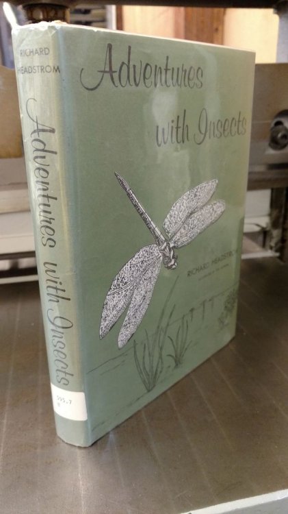 Adventures with Insects by Richard Headstrom
