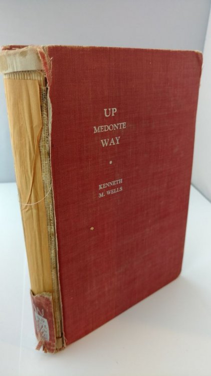 Up Medonte Way by Kenneth McNeill Wells