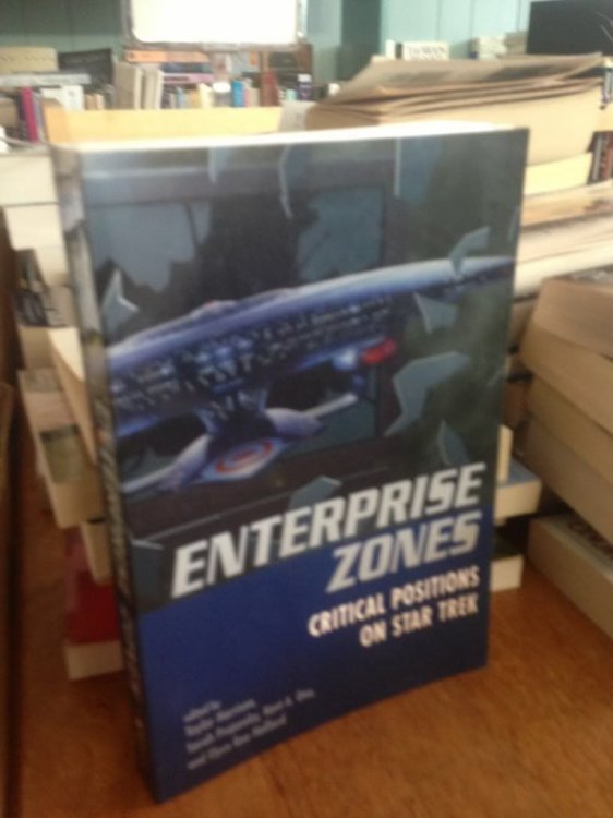 Enterprise Zones: Critical Positions (Film Studies (Boulder, Colo.).)