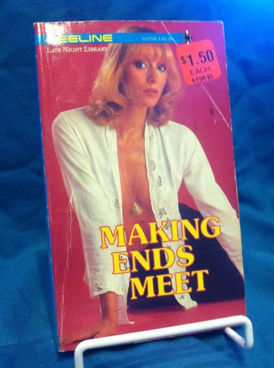 Making Ends Meet by Lynn Sands