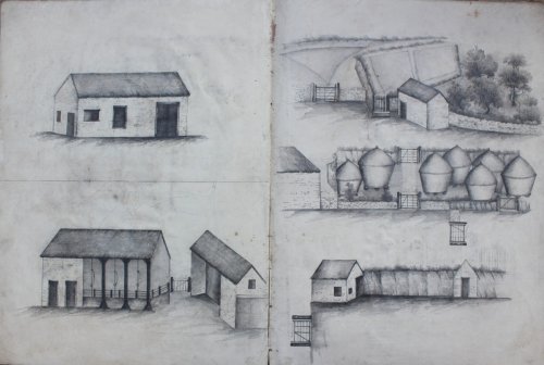 Cultivation of Hincknole Oates Farm [Hinchnole Farm, Netherbury] on Mr. Ackerman’s Entry. [Dorset]