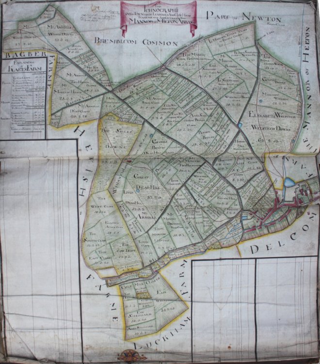 The Ichnographii of the Town Parts, Leasehold and Copie Hold, Tennements and Cottages in the Mannor of Milton Abbas.