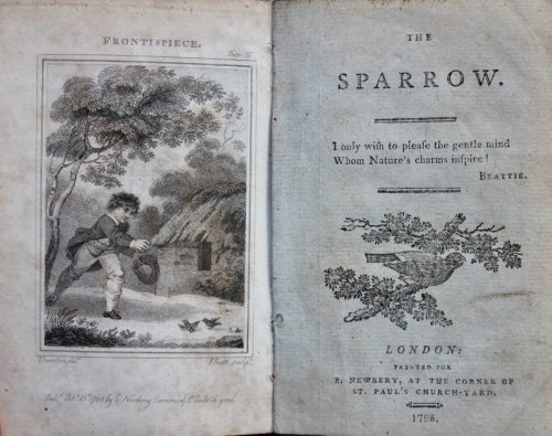 The Sparrow.