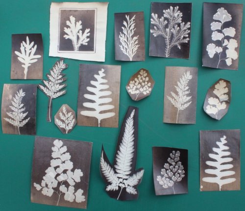 An Album of Early Photographs.
