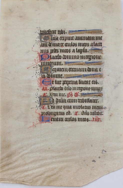 Illuminated Leaf on fine vellum.