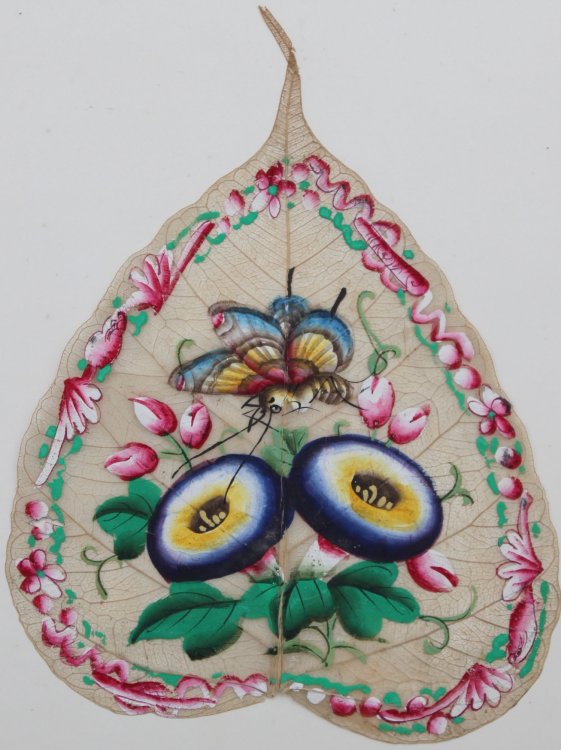 Butterfly and Flowers