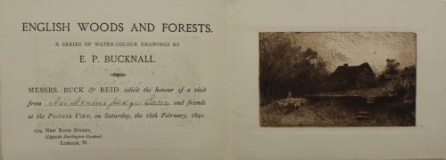 English Woods and Forests. A series of watercolour drawings.