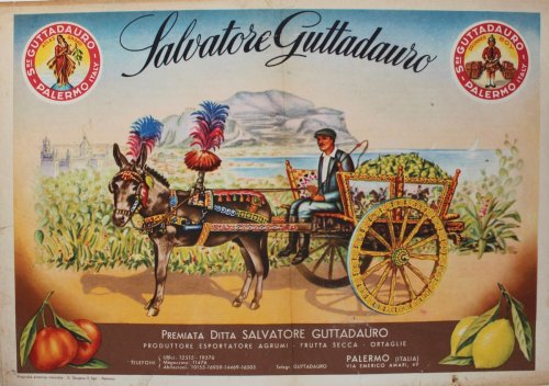 Produttore Esportatore Agrumi - Frutta Secca - Ortaglie.