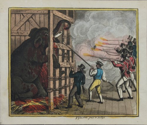 The Death of Chunee the Elephant.