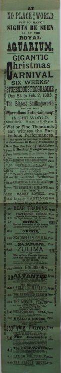 Gigantic Christmas Carnival. Six Weeks’ Stupendous Programme Dec. 24 to Feb. 2, 1895.