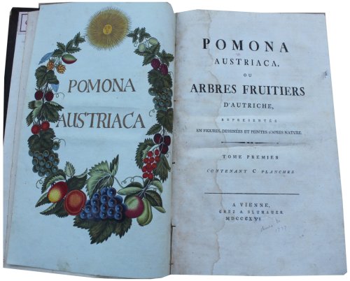 Pomona Austriaca, ou Arbres Fruitiers d’Autriche, Représentés en Figures, Dessinées et Peintes d’Apres Nature. [Fruit Trees of Austria Represented by figures, drawn and painted from Nature.] Abhandlung von den Obstaumen worinn ihre Gestalt, Erziehung und Pflege angez