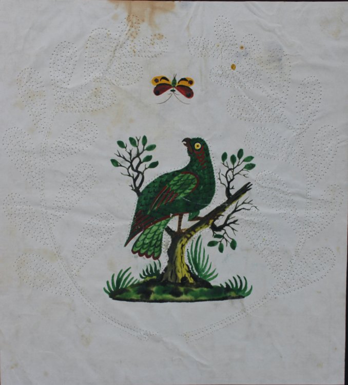 Exotic Bird in a Tree with Red and Yellow Butterfly.