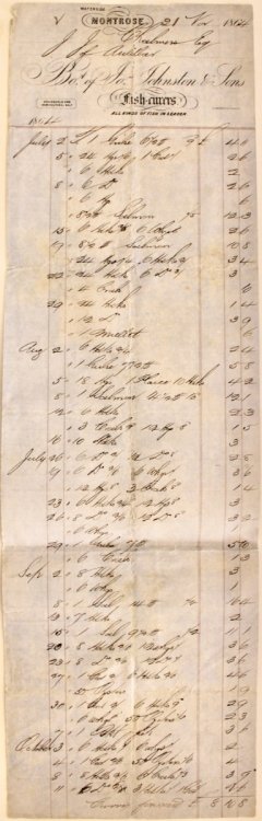 [Fishmonger] Jos. Johnston & Sons, fish-curers, Waterside, Montrose.