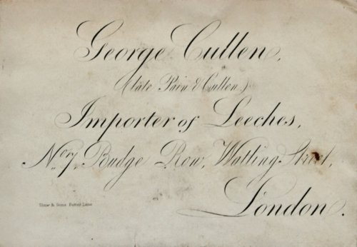 (Late Pain & Cullen) Importer of Leeches. No. 7, Budge Row, Watling Street, London.