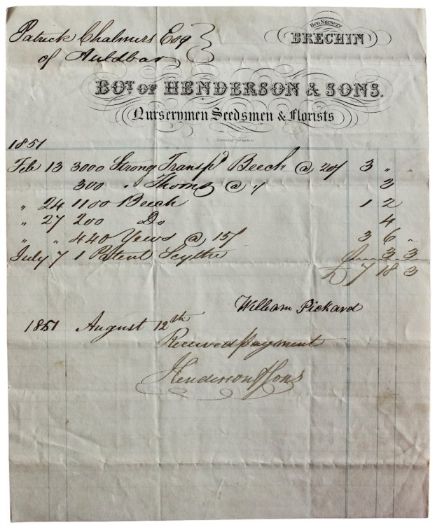 Nurserymen, Seedsmen & Florists. Den Nursery, Brechin.