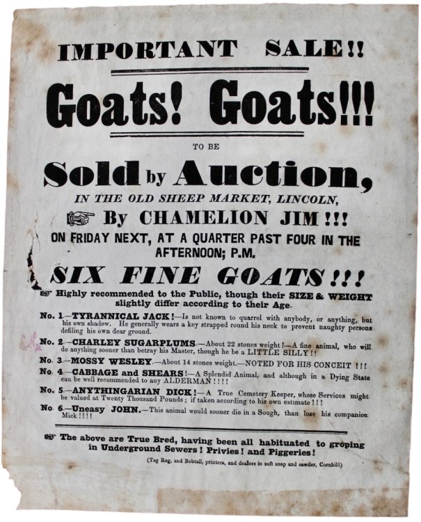 Important Sale!! Goats! Goats!! To be Sold by Auction, in the Old Sheep Market, Lincoln, by Chameleon Jim!!!