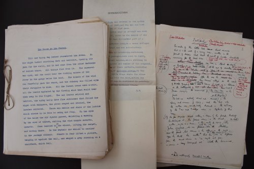 The Star Born. Typescript.