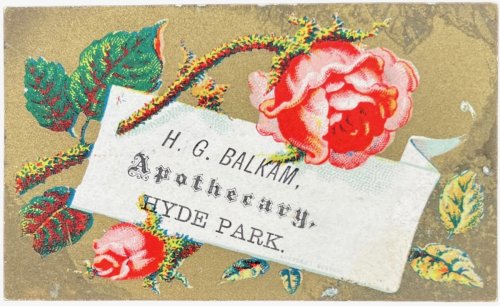 Apothecary, Hyde Park.