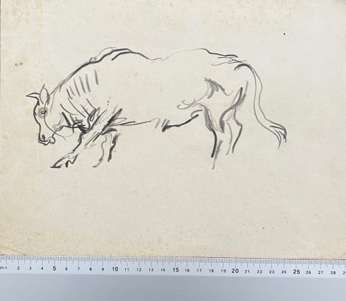 Bull. 2 original pencil drawings, back to back.