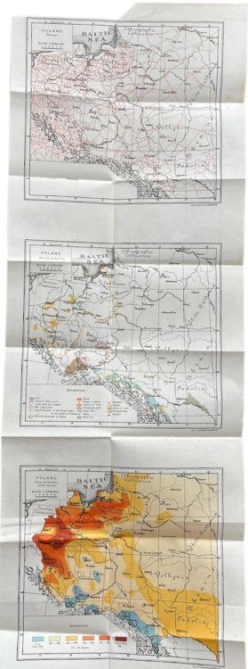 Polish Almanac 1921. Politics, Geography, Economy, Social State, Public Instruction, Culture, Information.