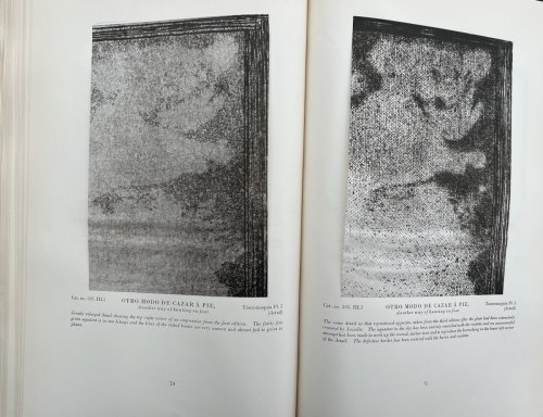 Goya; Engravings and Lithographs. Volume I. Text and Illustrations. Volume II. Catalogue Raisonné.