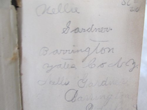 1882 ORIGINAL MANUSCRIPT DIARY HANDWRITTEN BY A CHARMING, SIMPLE WESTERN NEW YORK FARM GIRL