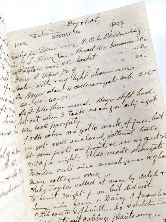 1890s ARCHIVE OF THREE [3] ORIGINAL MANUSCRIPT DIARIES BY AMERICAN CIVIL WAR VETERAN, RAILROAD BOOSTER, AND PROMINENT MEMBER OF A MICHIGAN COMMUNITY