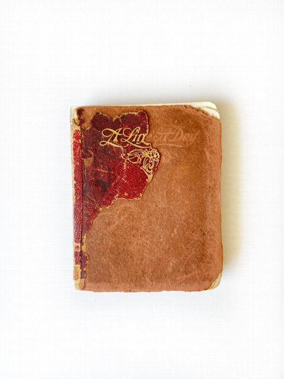 1917 to 1926 Original Diary Handwritten by a Daughter of the American Revolution with a Full Social Calendar