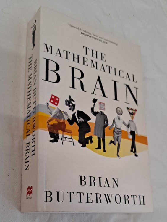 The Mathematical Brain