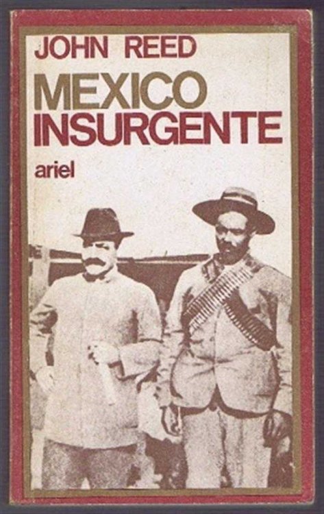 Mexico Insurgente