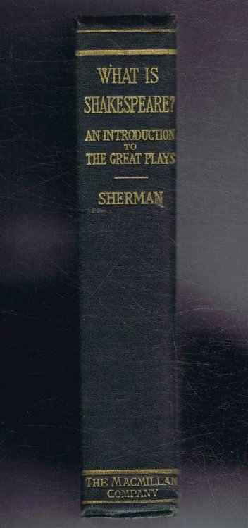 What is Shakespeare An Introduction to the Great Plays