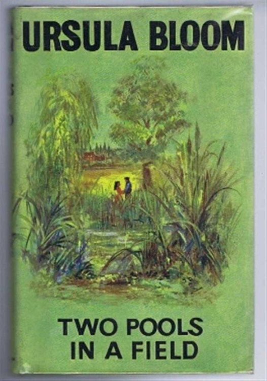 Two Pools in a Field
