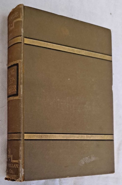 The Young Step-mother. Novels and Tales of Charlotte M Yonge, Volume IX (9)
