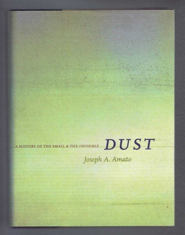 A History of the Small and the Invisible Dust