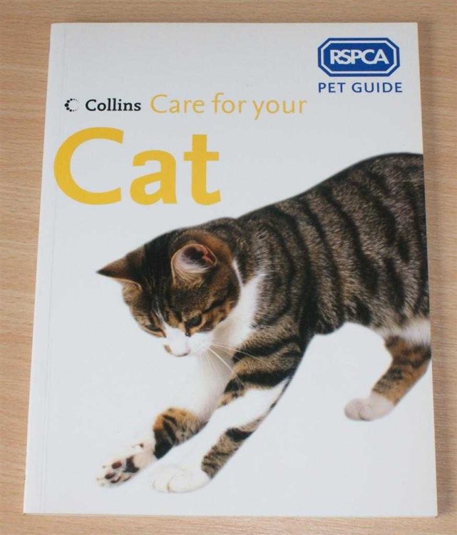 Care for your Cat