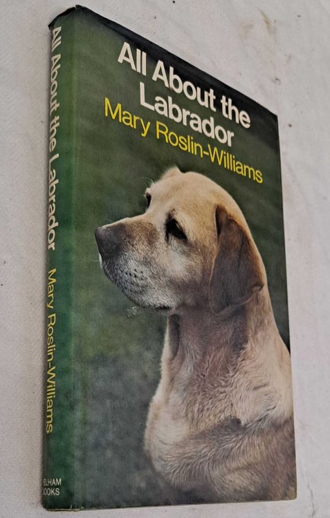 All About the Labrador
