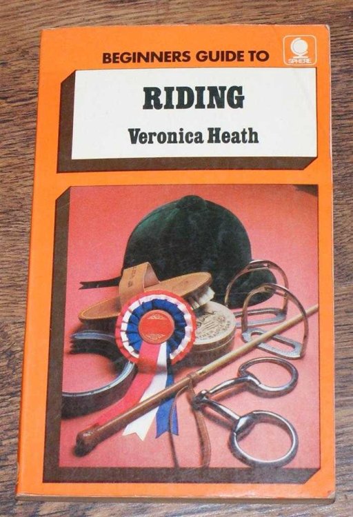Beginner's Guide to Riding