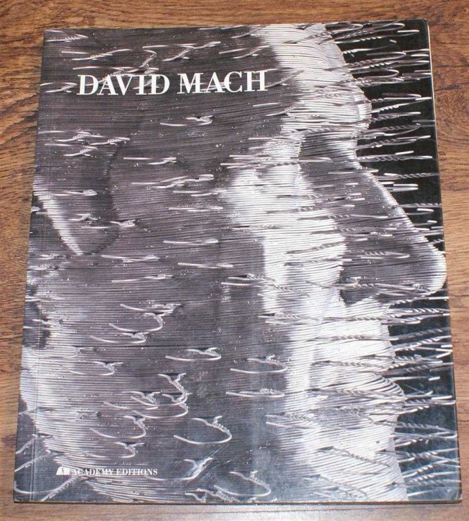 David Mach: Likeness Guaranteed