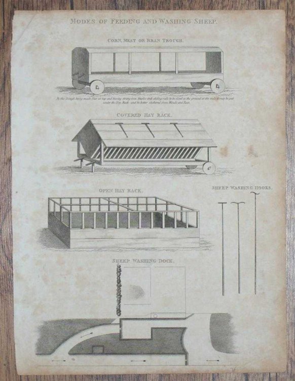 Engraved Plate from C19 Agricultural Book showing 