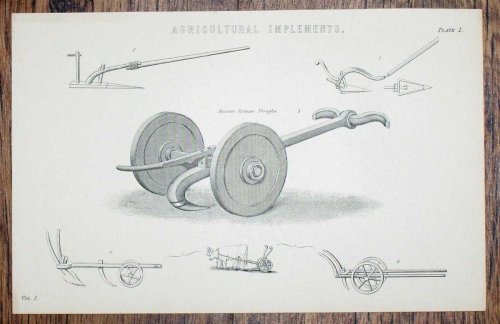 Engraved Plate from C19 Agricultural Book showing 